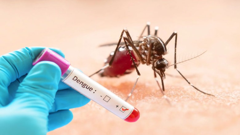 ২৪ ঘণ্টায় ডেঙ্গু কেড়ে নিল আরো ৬ প্রাণ