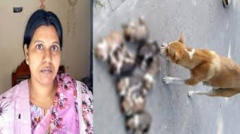 আলোচিত কুকুরছানা হত্যা মামলায় অভিযুক্ত গ্রেপ্তার