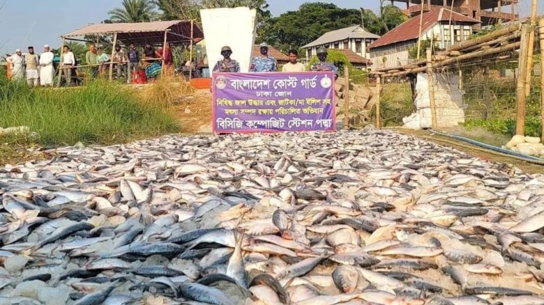 মুন্সীগঞ্জে ৪৩ লক্ষ টাকার জাটকা জব্দ